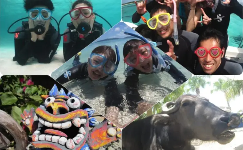 【石垣島/1日】120％大満喫☆初心者大歓迎！体験ダイビング＋竹富島観光コース＜写真無料＆送迎＆嬉しいランチ付き♪＞（No.367）