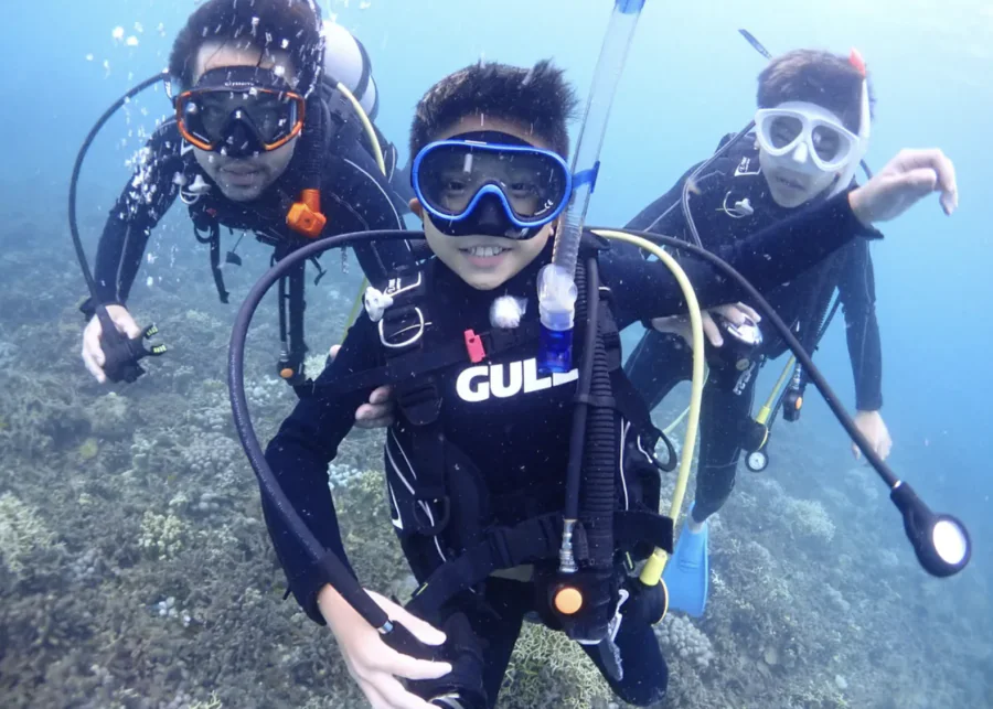 【石垣島/午後半日】初心者専門☆ウミガメ遭遇率90%以上！体験ダイビング1dive＆シュノーケリングツアー《最新機種での写真＆動画プレゼント》（No.482）