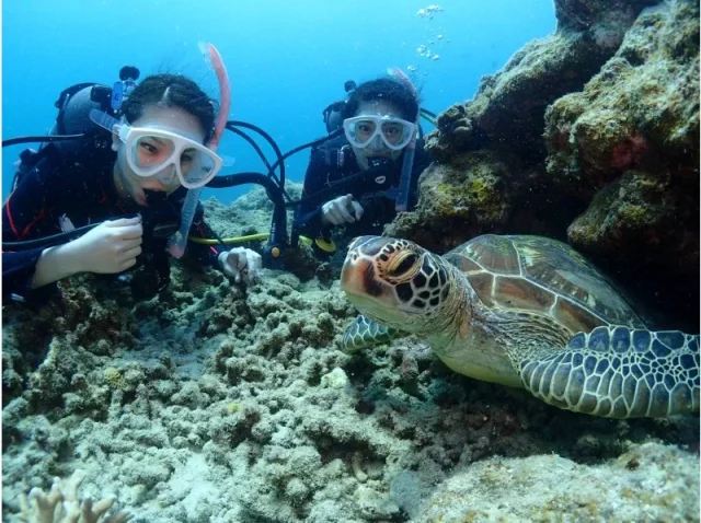 【石垣島/午後半日】初心者専門☆ウミガメ遭遇率90%以上！体験ダイビング1dive＆シュノーケリングツアー《最新機種での写真＆動画プレゼント》