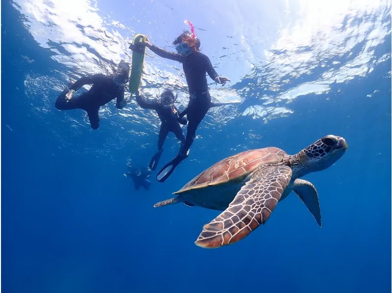 【石垣島/午後半日】初心者専門☆ウミガメ遭遇率90%以上！体験ダイビング1dive＆シュノーケリングツアー《最新機種での写真＆動画プレゼント》（No.482）