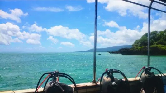 【石垣島/川平開催/約4時間】半日で贅沢2ダイブ☆人気カラフルサンゴ礁＆マンタポイントへご案内！少人数制体験ダイビングツアー