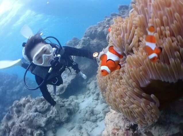 【石垣島/川平開催/1日】川平で感動のマンタ体験ダイビング2dive☆1日たっぷり楽しむ少人数開催で初心者も安心（No.505）