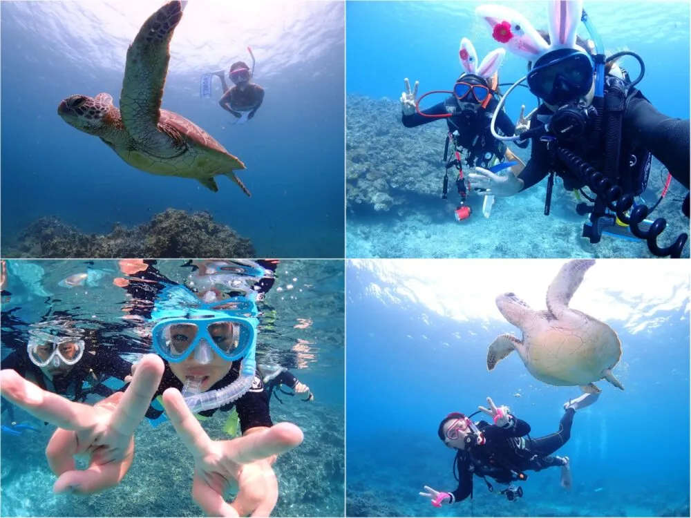 【石垣島/午後半日】初心者専門☆ウミガメ遭遇率90%以上！体験ダイビング1dive＆シュノーケリングツアー《最新機種での写真＆動画プレゼント》（No.482）