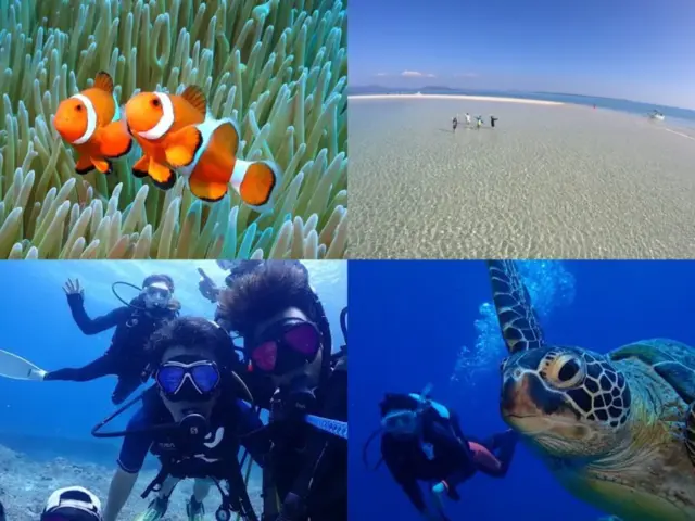 【石垣島/約2.5時間】サクッと短時間で大満喫☆幻の島（浜島）上陸＆体験ダイビングツアー！女子旅・ひとり旅にもおすすめ★