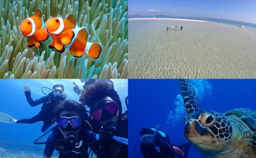 【石垣島/約2.5時間】サクッと短時間で大満喫☆幻の島（浜島）上陸＆体験ダイビングツアー！女子旅・ひとり旅にもおすすめ★（No.321）