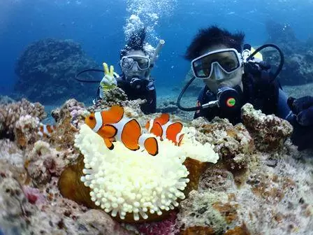 【石垣島/川平開催/約4時間】半日で贅沢2ダイブ☆人気カラフルサンゴ礁＆マンタポイントへご案内！少人数制体験ダイビングツアー（No.503）