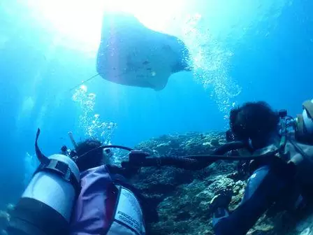 【石垣島/川平開催/約4時間】半日で贅沢2ダイブ☆人気カラフルサンゴ礁＆マンタポイントへご案内！少人数制体験ダイビングツアー（No.503）