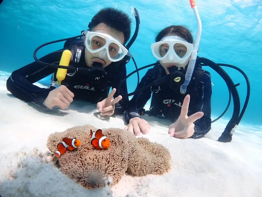 【石垣島/午後半日】初心者専門☆ウミガメ遭遇率90%以上！体験ダイビング1dive＆シュノーケリングツアー《最新機種での写真＆動画プレゼント》（No.482）