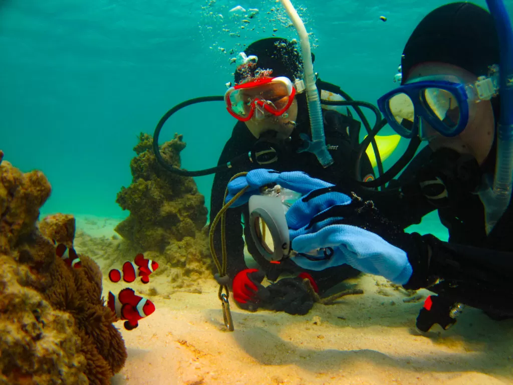 【石垣島/半日】サポートもおまかせ！気軽に参加できるファンダイビング1dive午後半日コース《機材一式レンタル付き》（No.343）