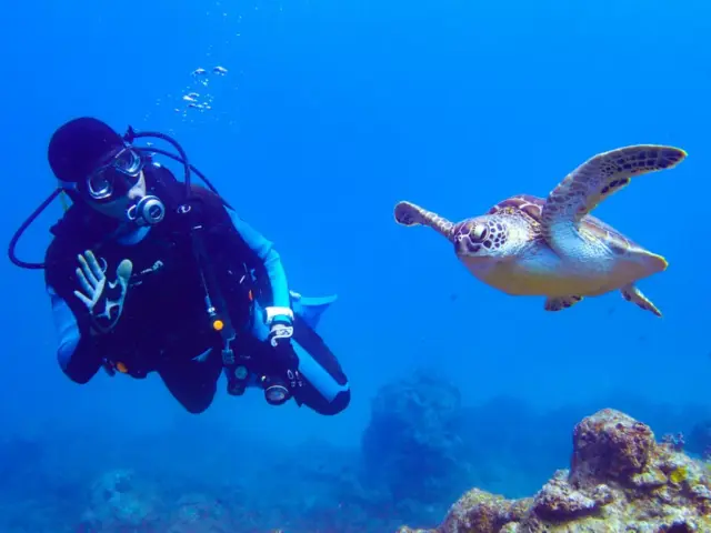【石垣島/半日】サポートもおまかせ！気軽に参加できるファンダイビング1dive午後半日コース《機材一式レンタル付き》（No.343）