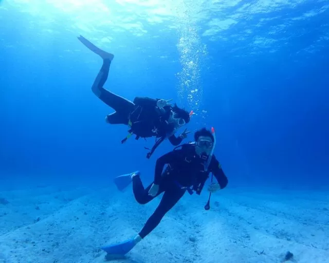 【石垣島/半日】サポートもおまかせ！気軽に参加できるファンダイビング1dive午後半日コース《機材一式レンタル付き》（No.343）