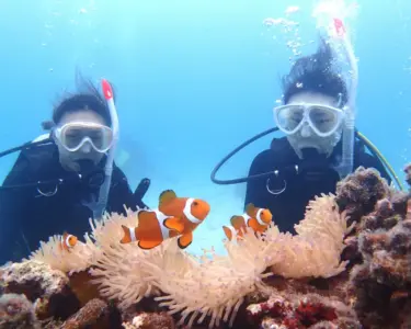 【石垣島/1日】ウミガメ遭遇率90％以上☆幻の島上陸＆体験ダイビング2dive＆シュノーケリングツアー《器材込み＆ランチ付き》