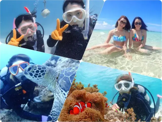 【石垣島/1日】ウミガメ遭遇率90％以上☆幻の島上陸＆体験ダイビング2dive＆シュノーケリングツアー《器材込み＆ランチ付き》（No.342）