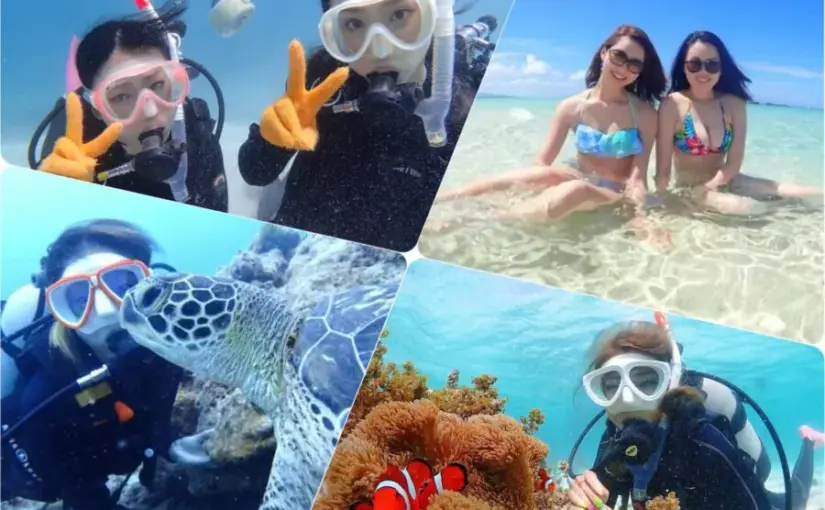 【石垣島/1日】ウミガメ遭遇率90％以上☆幻の島上陸＆体験ダイビング2dive＆シュノーケリングツアー《器材込み＆ランチ付き》（No.342）