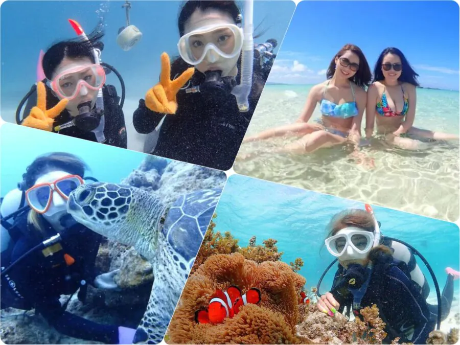 【石垣島/1日】ウミガメ遭遇率90％以上☆幻の島上陸＆体験ダイビング2dive＆シュノーケリングツアー《器材込み＆ランチ付き》（No.342）