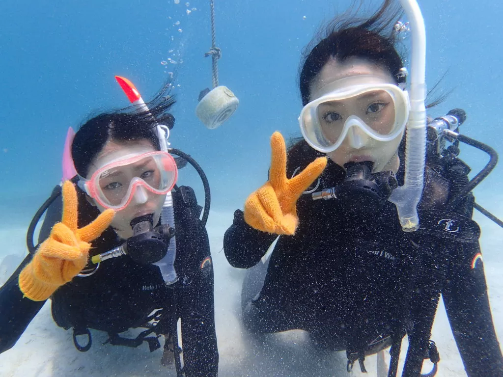 【石垣島/1日】ウミガメ遭遇率90％以上☆幻の島上陸＆体験ダイビング2dive＆シュノーケリングツアー《器材込み＆ランチ付き》（No.342）