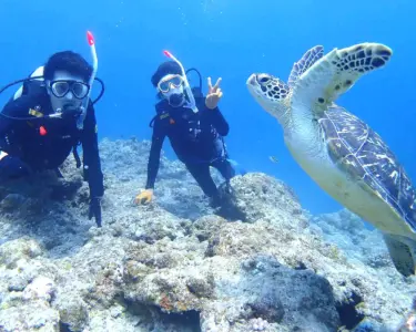 【石垣島/1日】ウミガメ遭遇率90％以上☆幻の島上陸＆体験ダイビング2dive＆シュノーケリングツアー《器材込み＆ランチ付き》