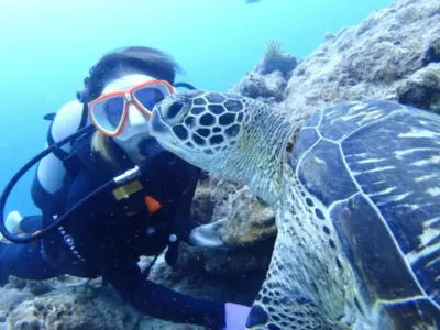 【石垣島/1日】ウミガメ遭遇率90％以上☆幻の島上陸＆体験ダイビング2dive＆シュノーケリングツアー《器材込み＆ランチ付き》