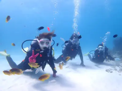 【石垣島/1日】ウミガメ遭遇率90％以上☆幻の島上陸＆体験ダイビング2dive＆シュノーケリングツアー《器材込み＆ランチ付き》