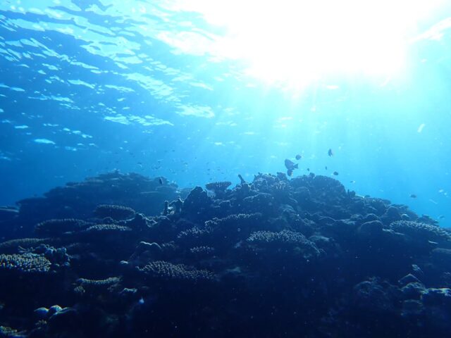 石垣島の海
