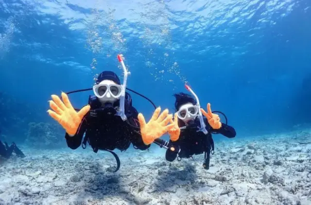 【石垣島/1日】遭遇率90%以上！マンタorウミガメシュノーケリング＆幻の島上陸＆体験ダイビングツアー☆初心者歓迎＜水中写真＆送迎付き＞少人数制で安心♪（No.525）