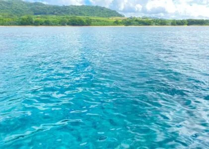 【石垣島/1日】幻の島上陸＆体験ダイビング＆ウミガメシュノーケリング〈GoProレンタル無料〉初心者専門の少人数制