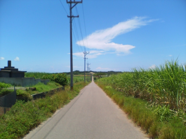 小浜島