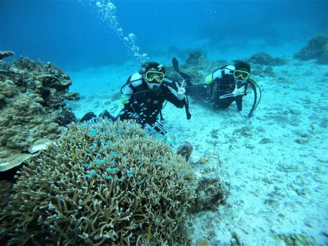 【石垣島発/新城島開催/1日】人魚伝説残る『パナリ島』で特別な体験を☆初心者大歓迎！体験ダイビングツアー★ランチ付き