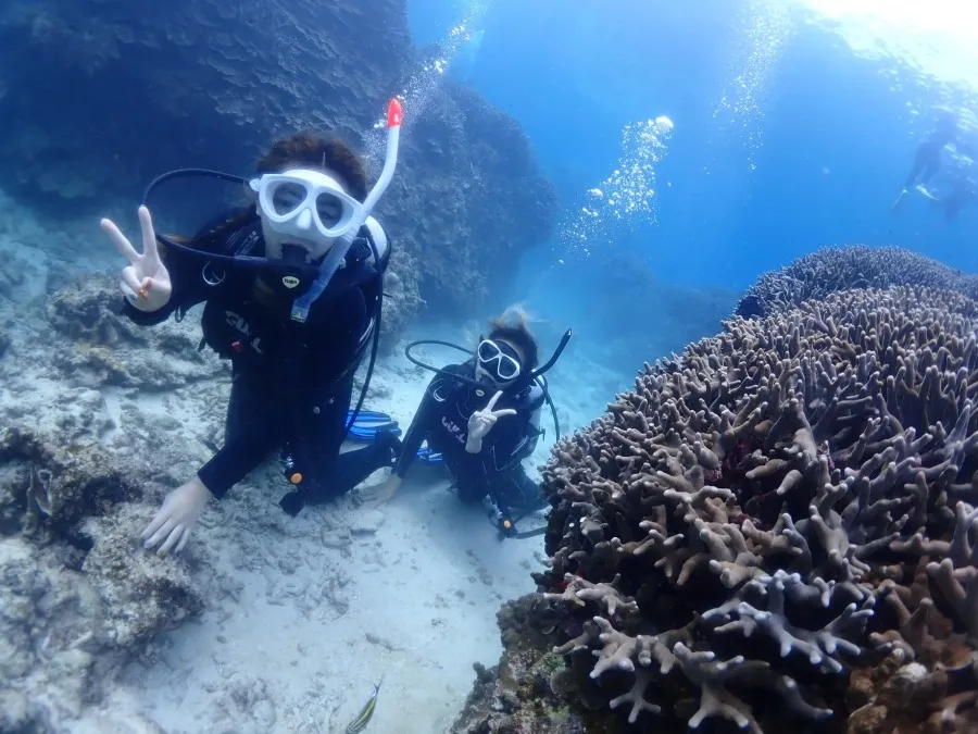 【石垣島/1日】幻の島上陸＆体験ダイビング＆ウミガメシュノーケリング〈GoProレンタル無料〉初心者専門の少人数制（No.475）
