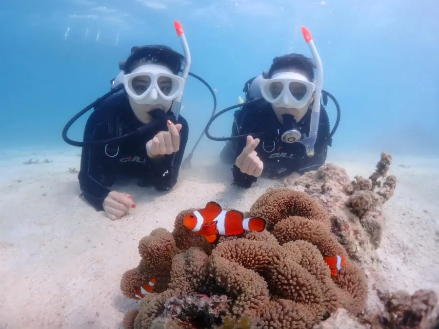 【石垣島/1日】幻の島上陸＆体験ダイビング＆ウミガメシュノーケリング〈GoProレンタル無料〉初心者専門の少人数制（No.475）