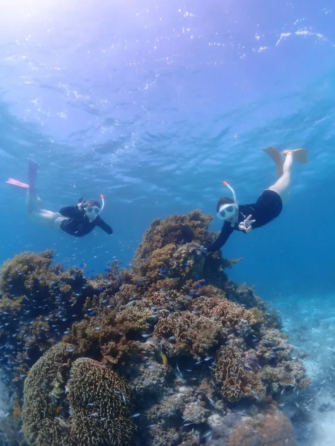 【石垣島/1日】幻の島上陸＆体験ダイビング＆ウミガメシュノーケリング〈GoProレンタル無料〉初心者専門の少人数制（No.475）
