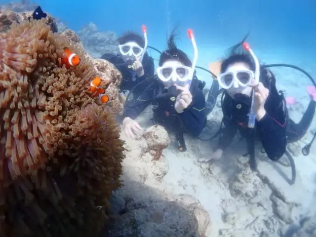 【石垣島/1日】幻の島上陸＆体験ダイビング＆ウミガメシュノーケリング〈GoProレンタル無料〉初心者専門の少人数制