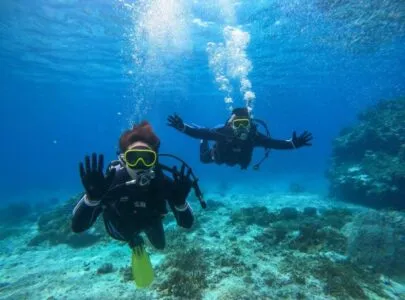 【石垣島発/新城島開催/1日】人魚伝説残る『パナリ島』で大満喫☆初心者大歓迎！釣り＆体験ダイビングツアー★居酒屋調理可能（No.550）