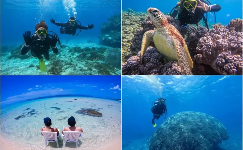 パナリ島、シュノーケリング、体験ダイビング