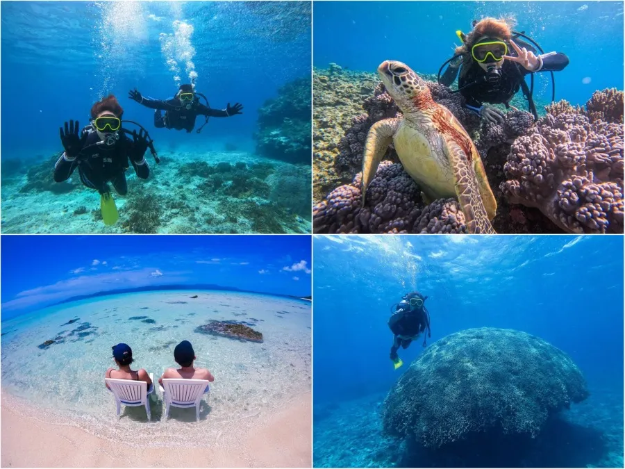 【石垣島発/新城島開催/1日】人魚伝説残る『パナリ島』で特別な体験を☆初心者大歓迎！体験ダイビングツアー★ランチ付き（No.548）