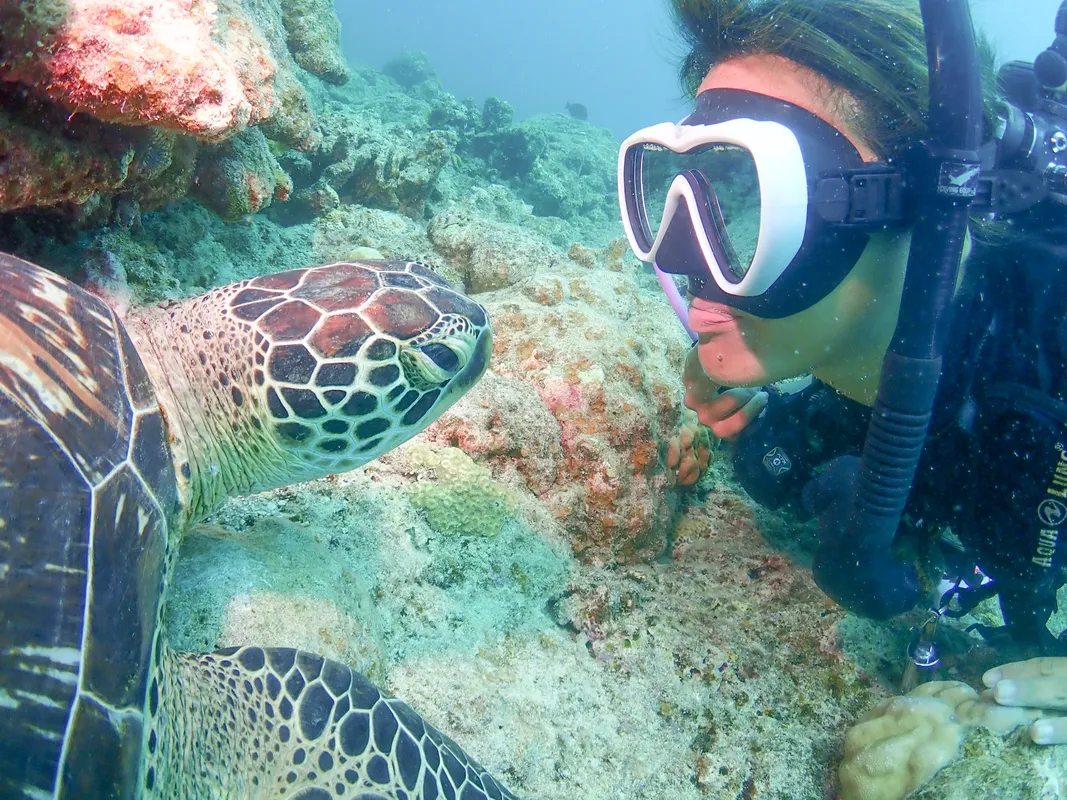【石垣島/1日】幻の島上陸＆体験ダイビング＆ウミガメシュノーケリング〈GoProレンタル無料〉初心者専門の少人数制（No.475）