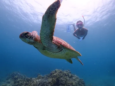 【石垣島/1日】幻の島上陸＆体験ダイビング＆ウミガメシュノーケリング〈GoProレンタル無料〉初心者専門の少人数制