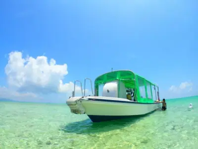 【石垣島/1日】幻の島上陸＆体験ダイビング＆ウミガメシュノーケリング〈GoProレンタル無料〉初心者専門の少人数制