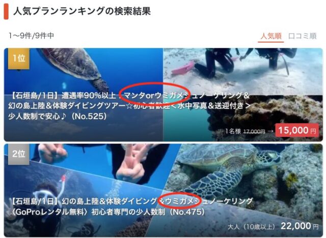 石垣島でウミガメと泳ぐ感動体験！スポット・時期・初心者おすすめツアー紹介
