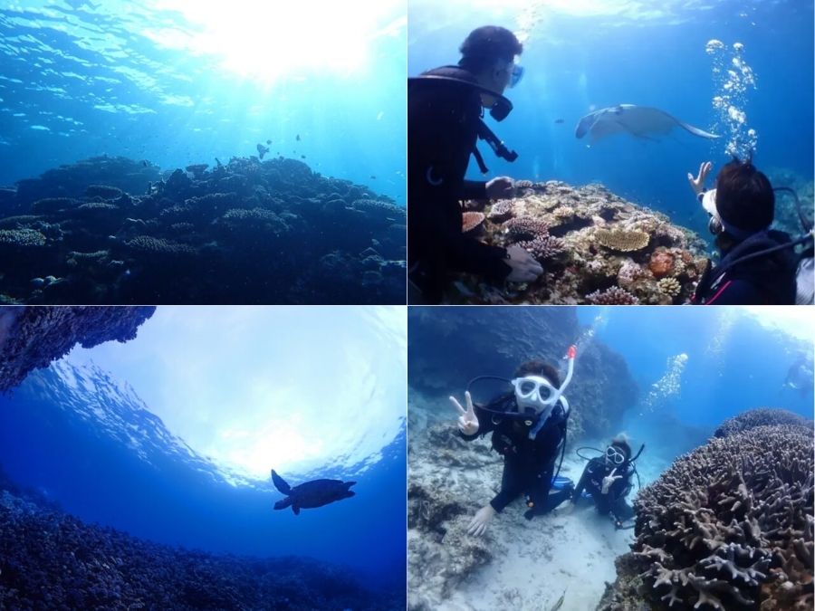 石垣島でダイビングライセンスを取ろう!2日間で取得可&安いおすすめスクール紹介♪
