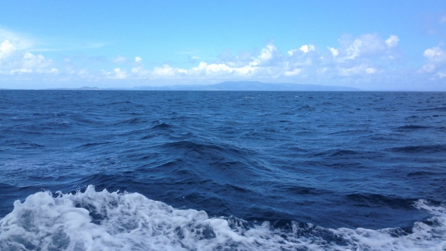 ダイビング、冬の海