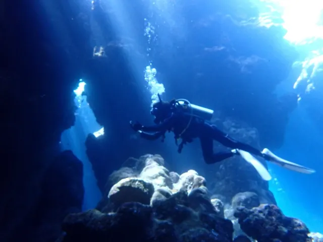 ファンダイビング