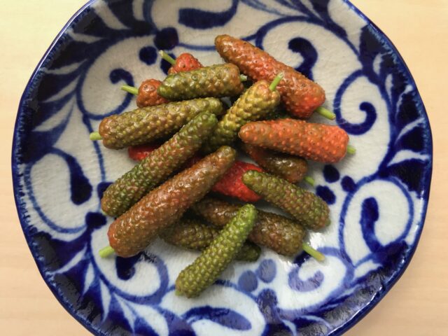 石垣島の食材ピパーツの実