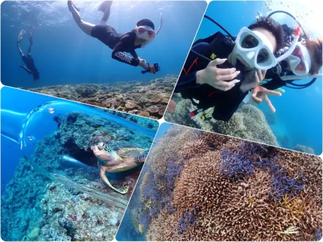 体験ダイビング　ウミガメ　シュノーケリング