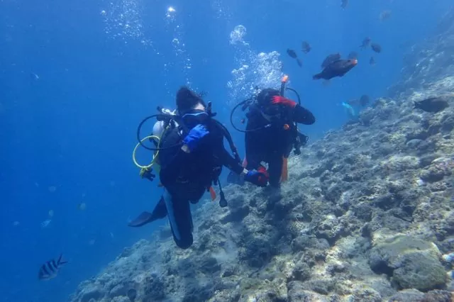 ファンダイビング