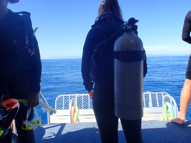 ダイビング 準備