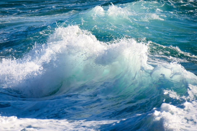 冬の海、波、海況、水温