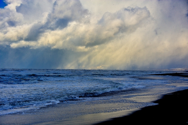 冬の海、ビーチ