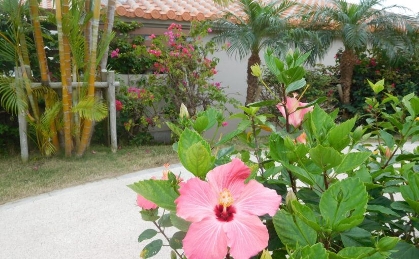 石垣島　ホテル　民宿