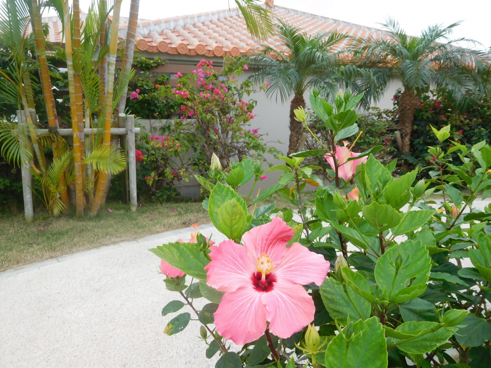 石垣島　ホテル　民宿